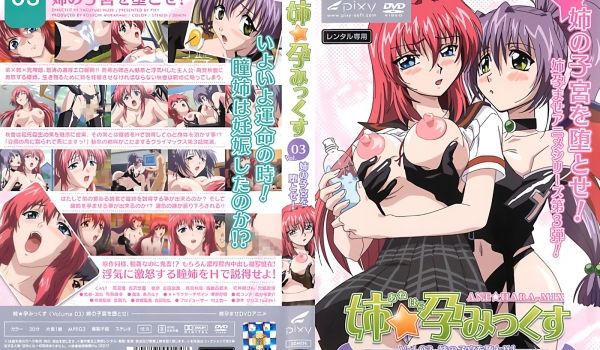 [PIXY] 姉☆孕みっくす Vol.03 姉の