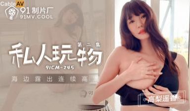 高梨遥香CM245私人玩物第二部：淫荡玩物の激情